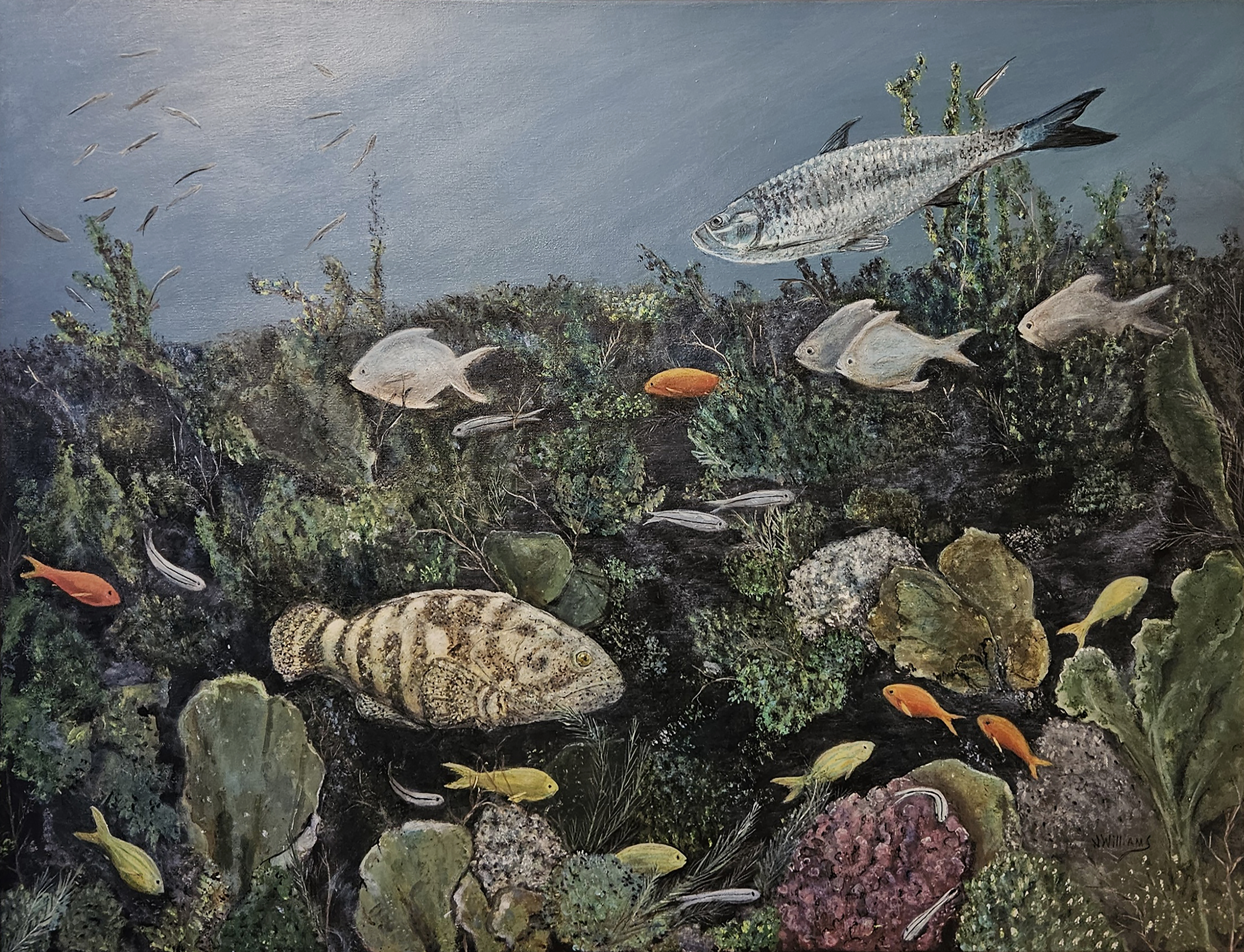 1747934257-J WILLIAMS OCEAN FLOOR FISH